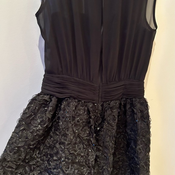 Black Sheer Sleeveless Dress - Picture 2 of 8